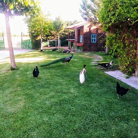 Refugio Con Casitas Infantiles Villa Zamora Eksteriør bilde